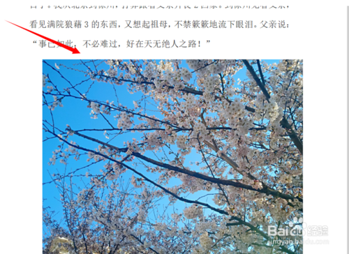 word里如何更換圖片