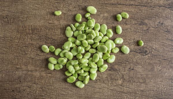 蠶豆瓣怎么保存 蠶豆的營(yíng)養(yǎng)價(jià)值