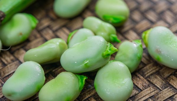 蠶豆瓣怎么保存 蠶豆的營(yíng)養(yǎng)價(jià)值