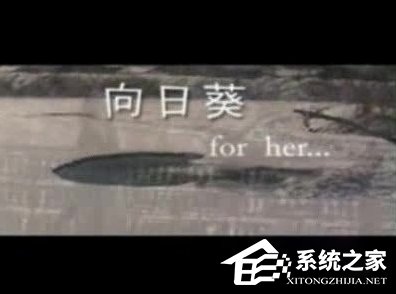 WinXP系統怎么打開DAT格式文件？