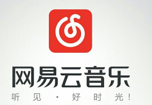 網易云音樂黑膠vip和音樂包有什么區別 黑膠vip和音樂包性價比對比