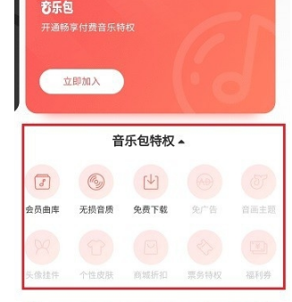 網易云音樂黑膠vip和音樂包有什么區別 黑膠vip和音樂包性價比對比