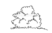 qq畫圖紅包灌木怎么畫？QQ紅包灌木畫法分享