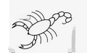 qq畫(huà)圖紅包蝎子怎么畫(huà)？QQ紅包蝎子畫(huà)法分享