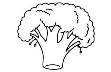 qq畫圖紅包西蘭花怎么畫？QQ紅包西蘭花畫法分享