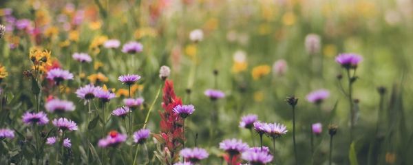 適合發朋友圈的句子 發朋友圈文案