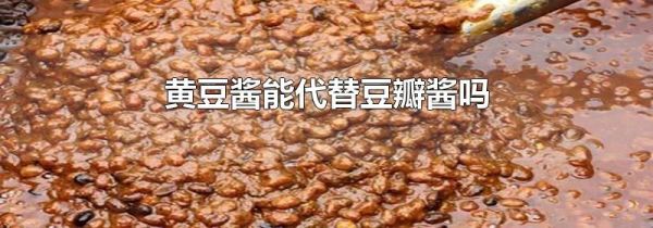 黃豆醬能代替豆瓣醬嗎