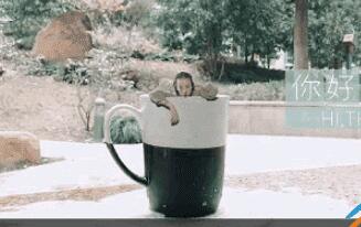 抖音APP怎么錄制出跳進水杯特效？跳進水杯特效錄制方法講解