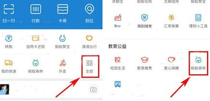 在支付寶里怎么將行走捐打開？將行走捐打開的步驟一覽