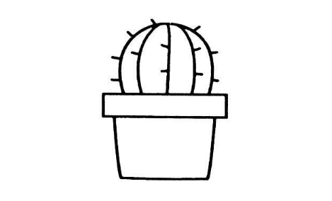 qq畫圖紅包仙人掌怎么畫？QQ畫圖紅包所有圖案匯總