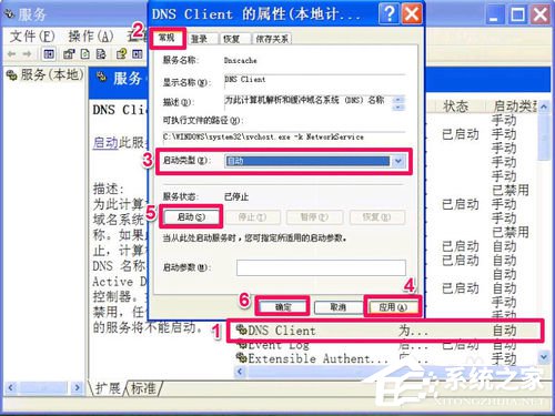 WinXP無法清除DNS緩存怎么解決？