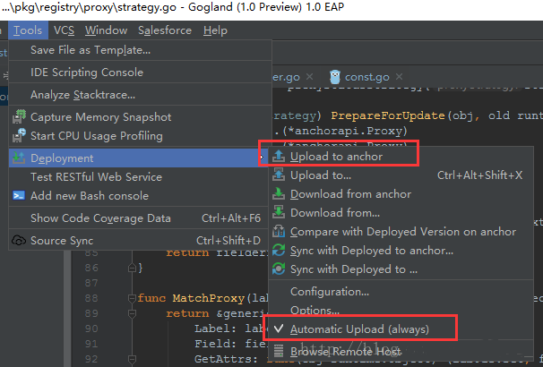 Win10安裝golang ssh插件的詳細(xì)教程