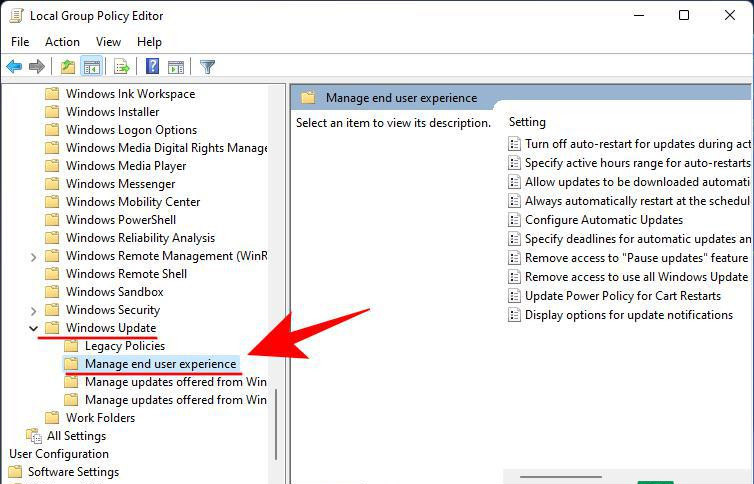 Win11如何禁止系統自動更新 Win11關閉系統自動更新的方法