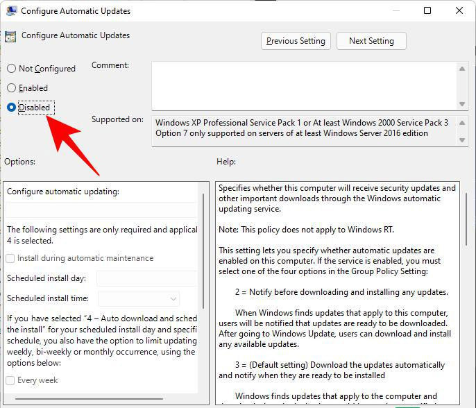 Win11如何禁止系統自動更新 Win11關閉系統自動更新的方法