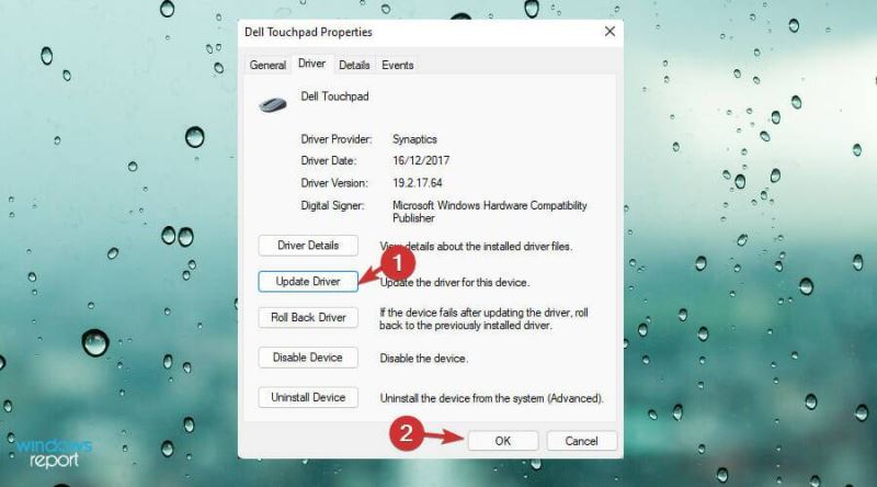 Win11中觸摸板不工作怎么辦？Win11中觸摸板不工作修復方法