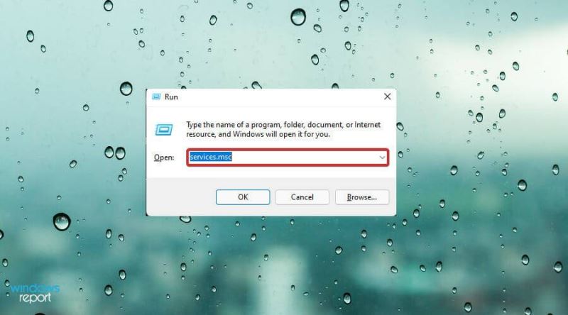 Win11中觸摸板不工作怎么辦？Win11中觸摸板不工作修復方法