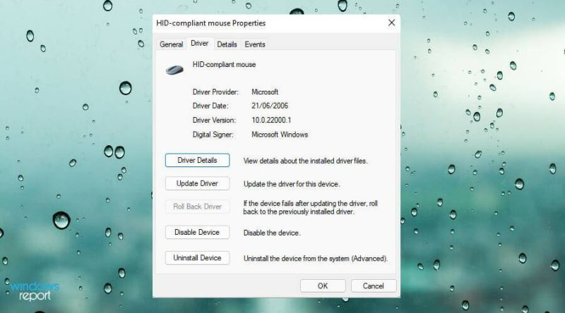 Win11中觸摸板不工作怎么辦？Win11中觸摸板不工作修復方法