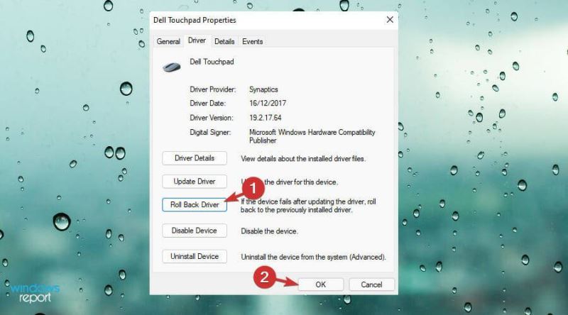 Win11中觸摸板不工作怎么辦？Win11中觸摸板不工作修復方法