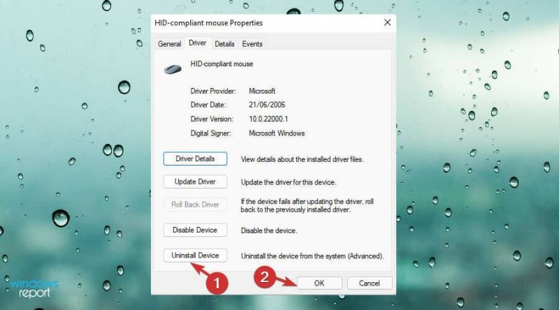 Win11中觸摸板不工作怎么辦？Win11中觸摸板不工作修復方法