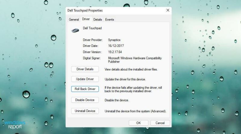 Win11中觸摸板不工作怎么辦？Win11中觸摸板不工作修復方法