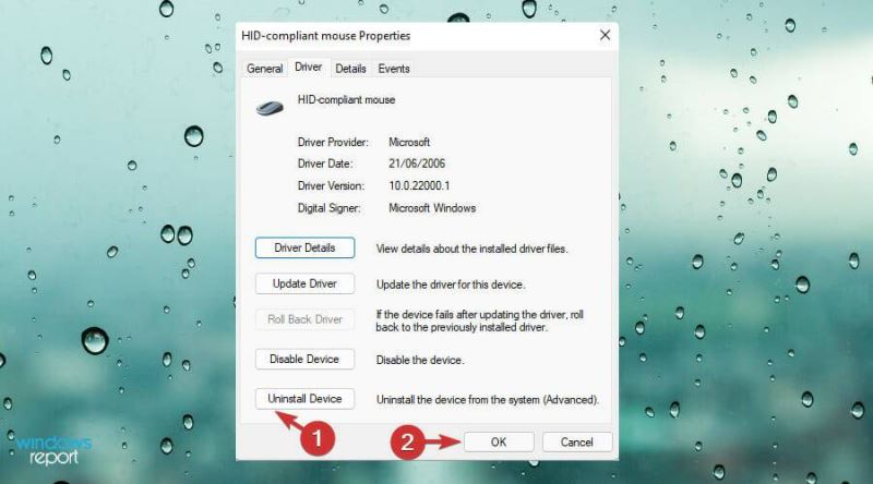Win11中觸摸板不工作怎么辦？Win11中觸摸板不工作修復方法