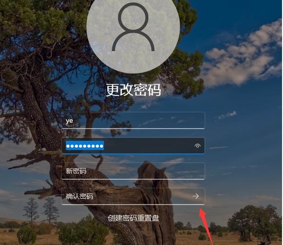 Win11不要密碼怎么設(shè)置？Win11取消密碼登錄的步驟教程