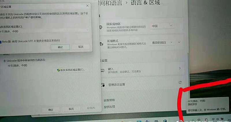 Win11無(wú)法切換輸入法打不出中文怎么辦？