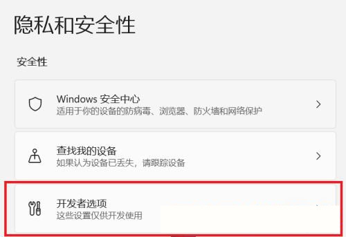 Win11怎么開啟開發者選項？Win11打開開發人員選項教程
