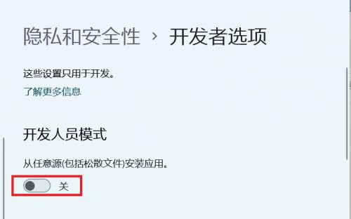 Win11怎么開啟開發者選項？Win11打開開發人員選項教程