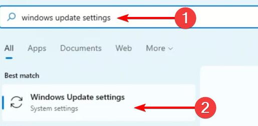 Win11沒有聲音是怎么回事 Win11沒有聲音原因及解決方法介紹