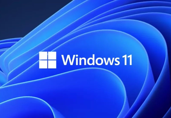 Win11的更新文件在哪里？Win11更新文件的位置