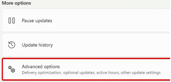 Win11攝像頭無(wú)法開(kāi)啟怎么辦？Win11攝像頭無(wú)法開(kāi)啟的解決方法
