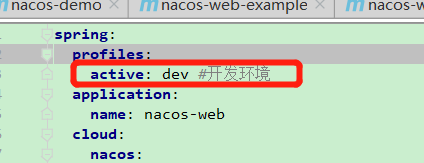 Java springboot 整合 Nacos的實例代碼