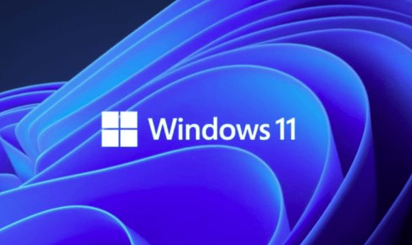 Windows11設(shè)置視覺效果步驟介紹