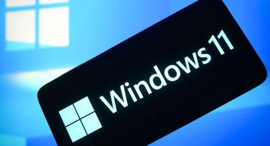 Windows11設置局域網絡技巧分享