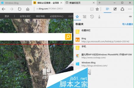 win10正式版Edge瀏覽器收藏夾在什么位置？收藏夾具體位置說明