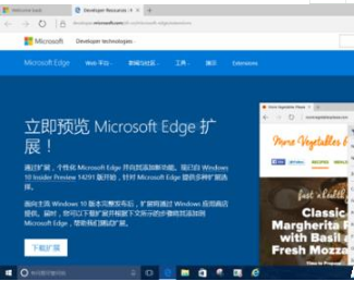 Win10系統(tǒng)中怎么給Edge瀏覽器添加翻譯擴(kuò)展插件?Win10系統(tǒng)中給Edge瀏覽器添加翻譯擴(kuò)展插件的方法介紹