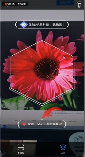 怎樣通過支付寶AR掃一掃識別花草？AR掃一掃識別花草的步驟分享