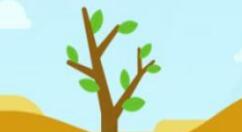 支付寶螞蟻森林怎么設置能量可收取提醒？設置能量可收取提醒方法分享