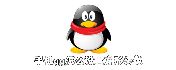 手機qq如何設置方形頭像？qq方形頭像設置步驟一覽