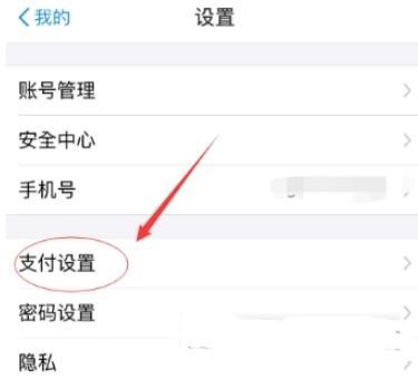 支付寶如何設置高德地圖免密支付？設置免密支付的方法說明