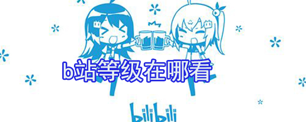b站等級在哪看_b站經(jīng)驗值查看方式大全