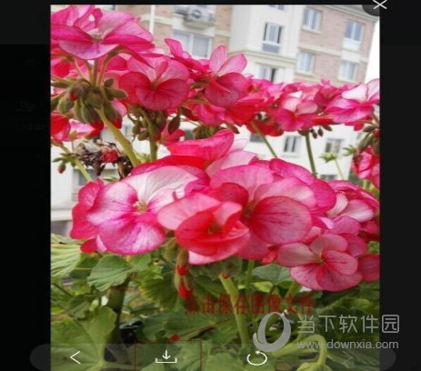 微信網頁版如何把手機圖片傳輸到電腦上 傳輸方法分享