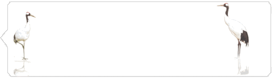 抖音浮世萬(wàn)千吾愛(ài)有三表情包有哪些 浮世萬(wàn)千吾愛(ài)有三表情包分享