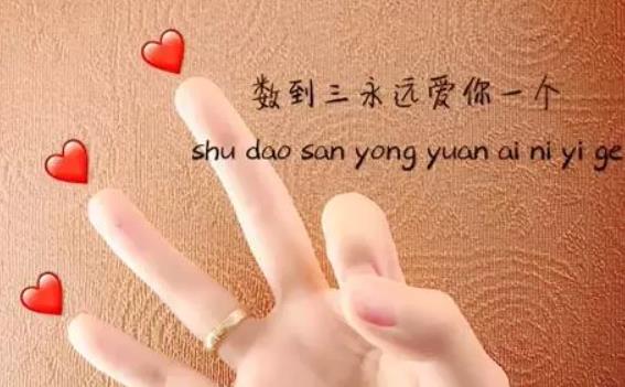 抖音手語表白手勢怎么做？手語表白圖片分享