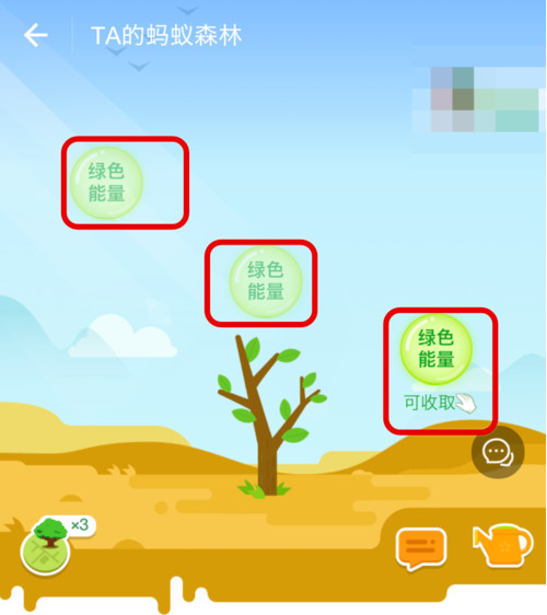 支付寶螞蟻森林能量值怎樣隱藏？隱藏森林能量值方法分享
