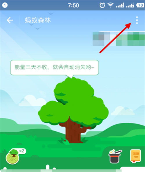 支付寶螞蟻森林能量值怎樣隱藏？隱藏森林能量值方法分享