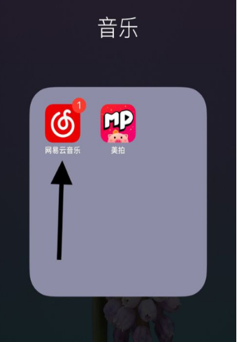 網(wǎng)易云歌詞翻譯不顯示怎么辦?歌詞翻譯開啟設(shè)置方法介紹