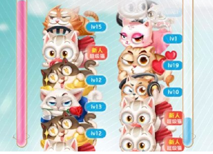 天貓疊貓貓戰(zhàn)隊(duì)名稱修改方法