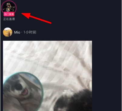 抖音粉絲團(tuán)怎么加入